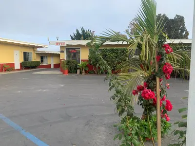 a hotel parking lot with a palm tree and flowers at Ventura Beach House Motel in Ventura
