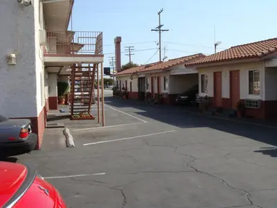 a cat sitting in a parking lot next to a building at American Inn in South El Monte