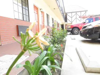 a yellow flower in front of a building at Executive Suites Inn in Westminster