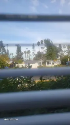 a view of a park with palm trees and the ocean at Woodland Hills BEST Priced Room in Woodland Hills