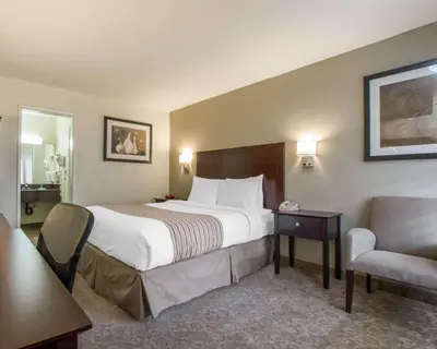 a hotel room with a bed and a chair at Rodeway Inn Convention Center in Los Angeles