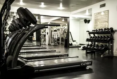 a row of treadmills in a gym at The Hollywood Roosevelt in Los Angeles