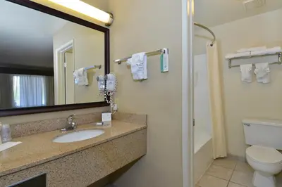a bathroom with a sink and a toilet and a mirror at Cajon Pass Inn in Cajon Junction