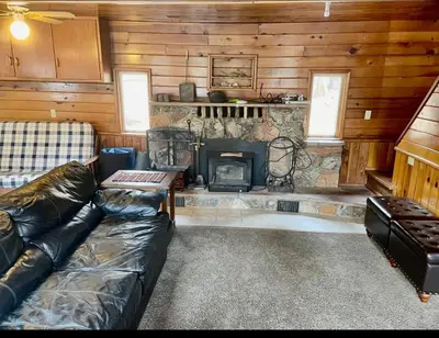 a living room with a couch and a fireplace at sequoia National Forest CabinH in Panorama Heights