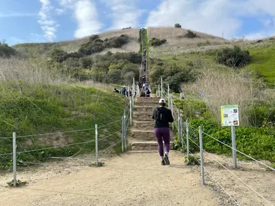 a woman walking up a set of stairs at Top Pick Apartment Near Grocery Store Parking CCD in Culver City