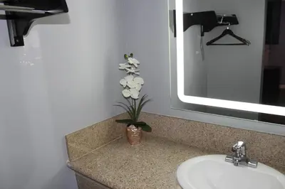 a bathroom sink with a vase with white flowers in it at ERTH INN by AGA Maywood in Maywood