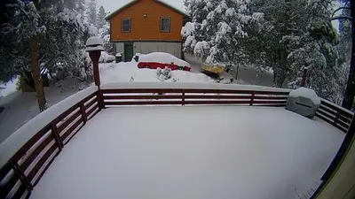 a yard covered in snow in front of a house at Quail Run Cabin 4,000 Sq.Ft Largest & Most Beautiful House On The Mountain in Pine Mountain Club