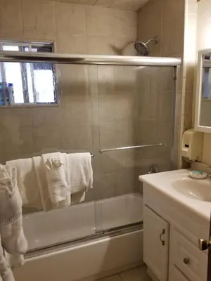 a bathroom with a shower and a sink at Grey Squirrel Resort in Big Bear Lake