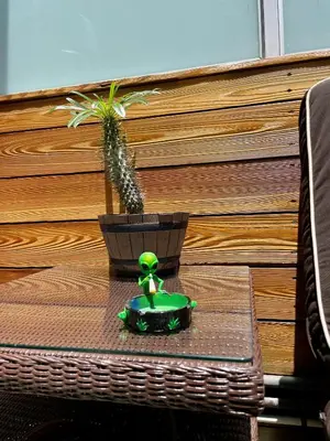 a table with a potted plant on top of it at Hollywood’s Suite in Los Angeles