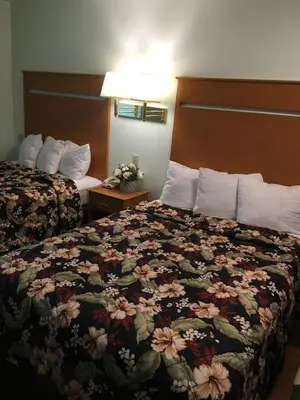 a hotel room with two beds with a floral bedspread at OceanView Motel in Huntington Beach