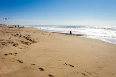 a group of birds sitting on the beach at Gateshead Haven in Oxnard
