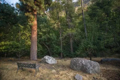 a park bench next to a tree and a rock at Quiet Mind Lodge, Spa & Retreat Sequoias in Kernville