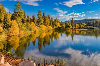 a lake in the fall with trees reflecting on the water at Tree-Top Getaway in Lake Arrowhead