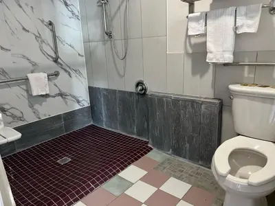 a bathroom with a white toilet and a shower at Lanai Motel in Alhambra