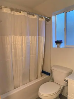 a bathroom with a toilet and a shower curtain at Cozy Lake-View Lodge Near Village in Big Bear Lake