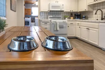 two metal bowls on a wooden counter in a kitchen at Bayview Bungalow - Cabin with Hot Tub One Block from Big Bear Lake! in Big Bear Lake
