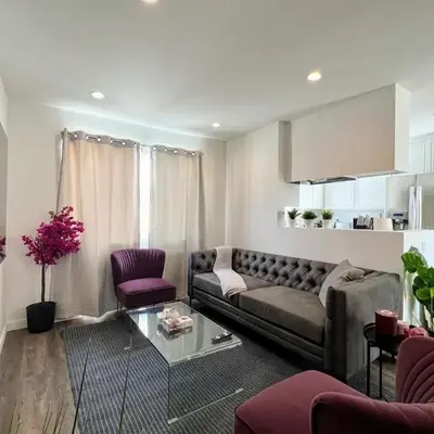 Hollywood Purple Habitat