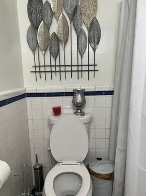 a bathroom with a white toilet and feathers on the wall at Manuel Y Sonia-La casa de los Angeles in Long Beach
