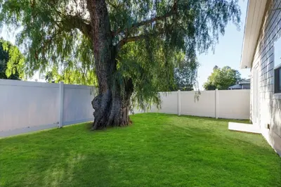 a tree in a yard next to a fence at Stylish Modern Lake Balboa Retreat 3 Bedroom House in Van Nuys