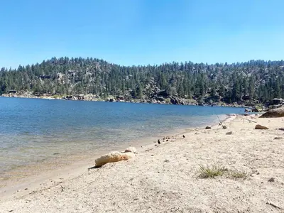 a sandy beach with trees in the background at ITH Big Bear Lake Hostel & Lodge in Big Bear Lake