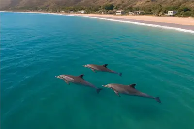 three dolphins swimming in the ocean near a beach at Malibu Beachfront Home with Rock Spa Ocean Views & Huge Deck in Malibu