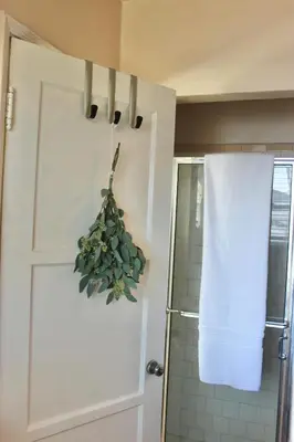 a bathroom with a shower and a door with a plant at The Hi Point Estate in Los Angeles