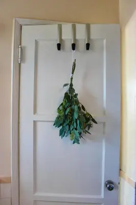 a potted plant hanging on a white door at The Hi Point Estate in Los Angeles