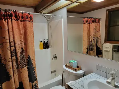 a bathroom with a shower curtain and a sink at Four Seasons Getaway-Private Hot Spa with Pine Tree Views-Walk to Village and Pineknot Trailhead-Plus King Bed! in Big Bear Lake