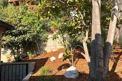 a garden with a tree and a red flower at Silverlake and Echo Park - 6min to Downtown and Hollywood - in Los Angeles