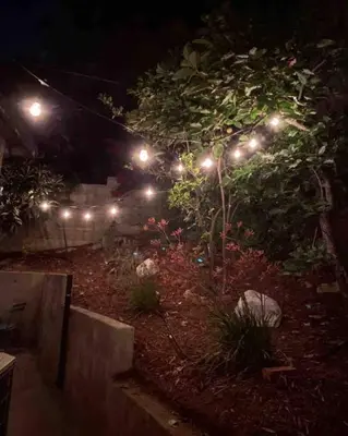 a garden lit up at night with lights at Silverlake and Echo Park - 6min to Downtown and Hollywood - in Los Angeles