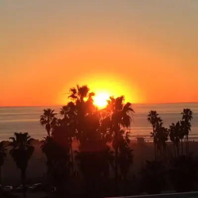 a sunset over the ocean with palm trees in the foreground at Elegant White Cottage, Venice Beach, California in Los Angeles