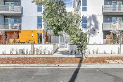 a tree in a courtyard in front of a building at Hollywood 1br w gym pool nr studios LAX-1036 in Los Angeles